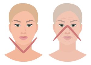 Proportionen eines jungen und eines und eines alten gesichts